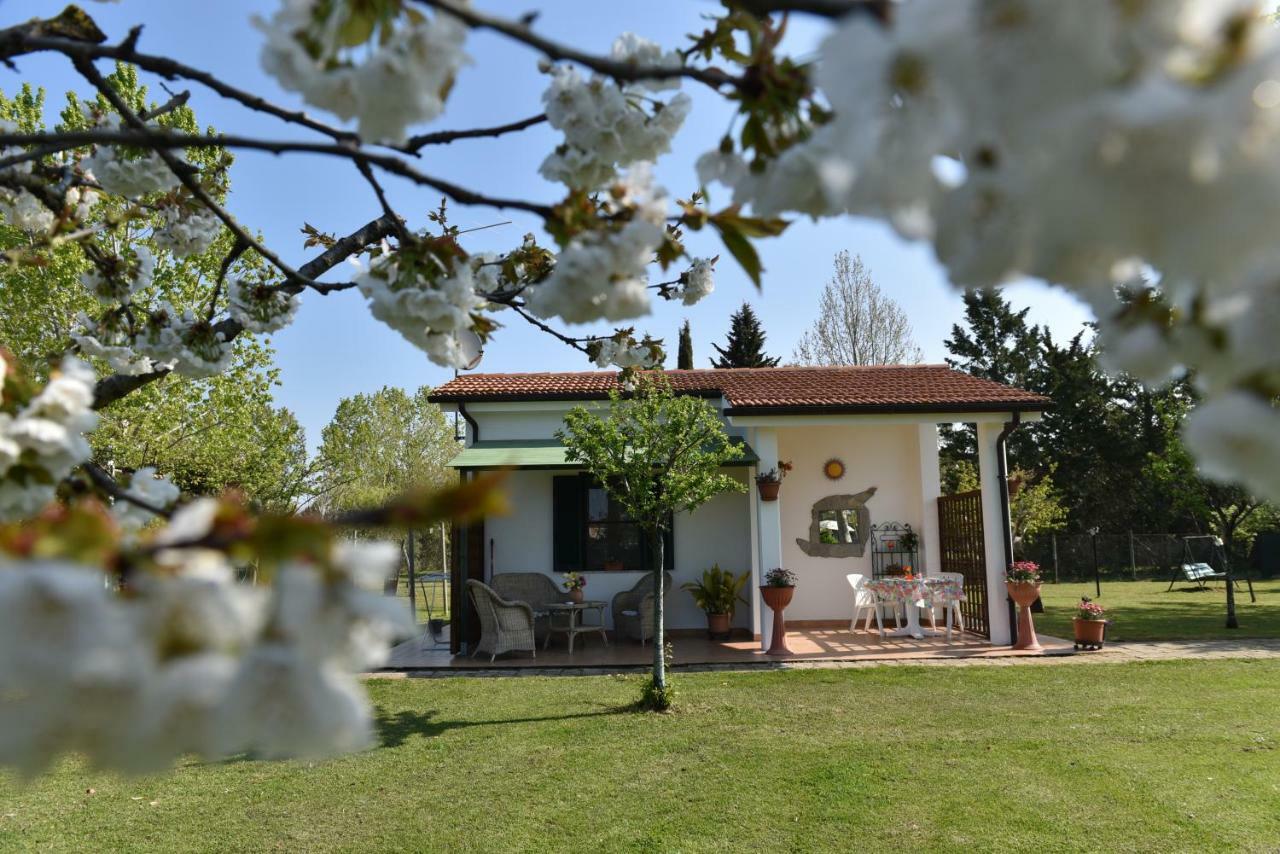 Villa Isabella Marina di Grosseto Exterior photo